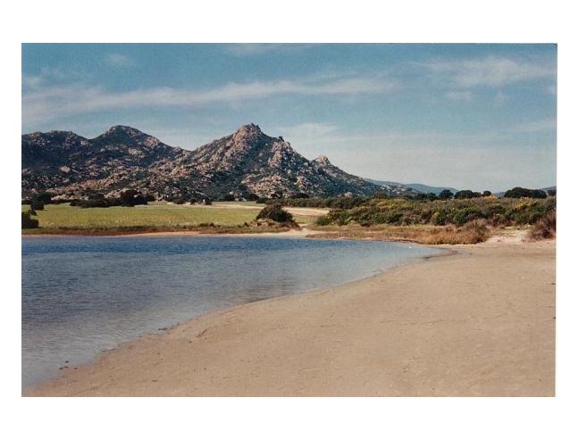 Anteprima foto 1 - Affitto Appartamento Vacanze da Privato a Siniscola (Nuoro)