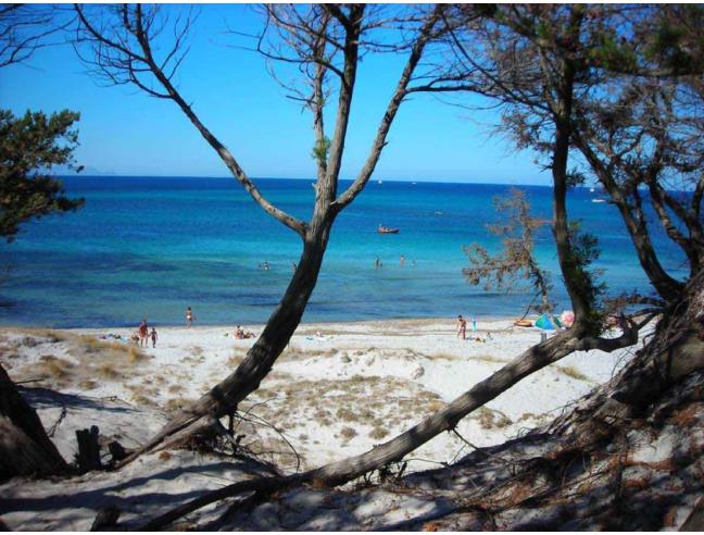 Anteprima foto 7 - Affitto Appartamento Vacanze da Privato a Siniscola - S'ena 'e Sa Chitta