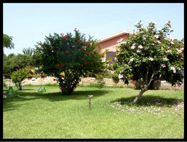 Anteprima foto 3 - Affitto Appartamento Vacanze da Privato a Siracusa - Capo Murro Di Porco