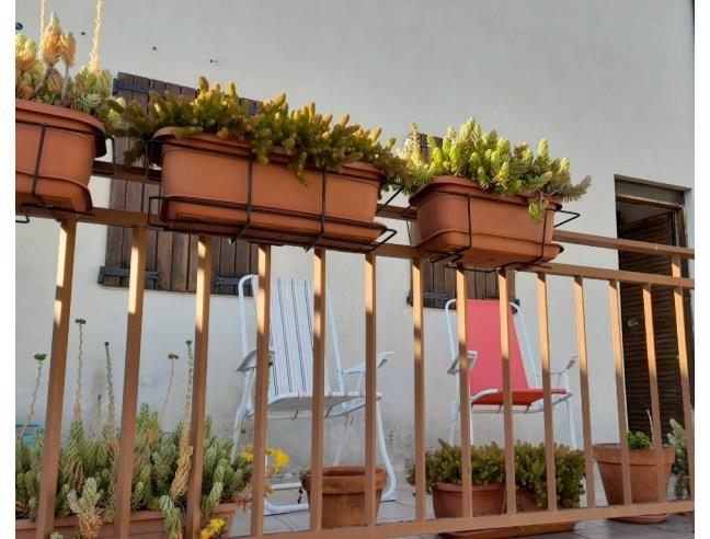 Anteprima foto 7 - Affitto Appartamento Vacanze da Privato a Sirolo (Ancona)