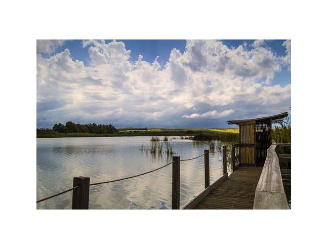 Anteprima foto 7 - Affitto Appartamento Vacanze da Privato a Sorso (Sassari)