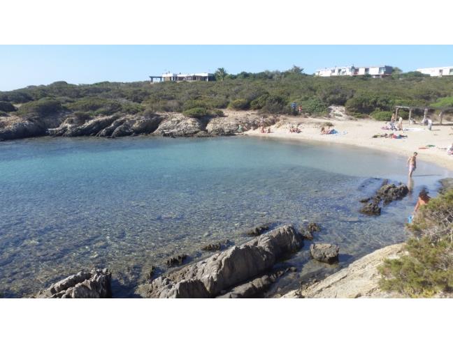 Anteprima foto 6 - Affitto Appartamento Vacanze da Privato a Stintino (Sassari)