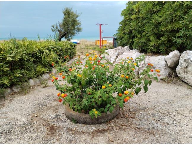 Anteprima foto 8 - Affitto Appartamento Vacanze da Privato a Termoli (Campobasso)