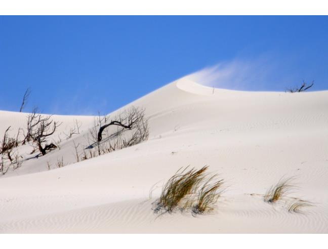 Anteprima foto 7 - Affitto Appartamento Vacanze da Privato a Teulada (Sud Sardegna)