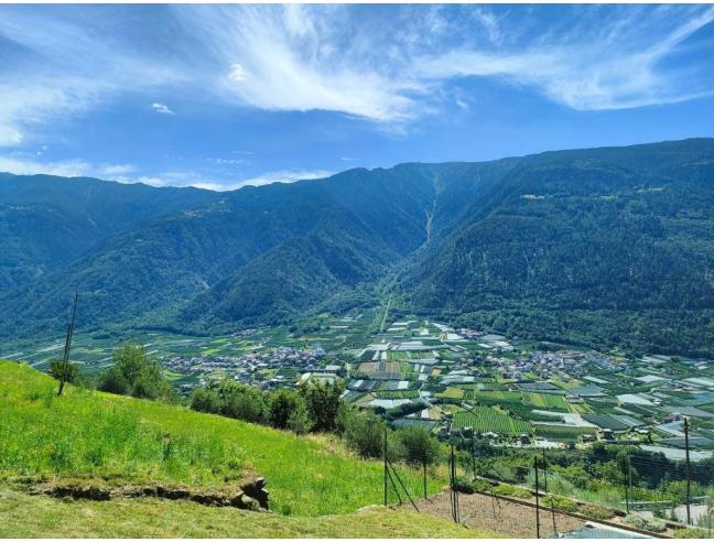 Anteprima foto 7 - Affitto Appartamento Vacanze da Privato a Tirano - Baruffini