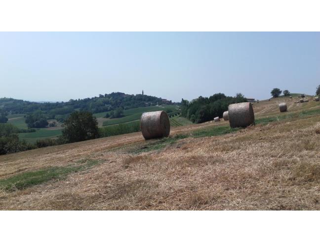 Anteprima foto 7 - Affitto Appartamento Vacanze da Privato a Tonco (Asti)