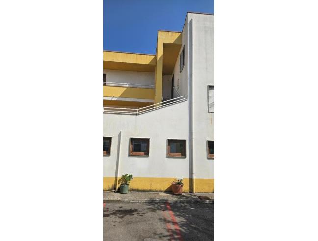 Anteprima foto 3 - Affitto Appartamento Vacanze da Privato a Tortora (Cosenza)