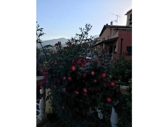 Anteprima foto 4 - Affitto Appartamento Vacanze da Privato a Tovo San Giacomo - Bardino Nuovo