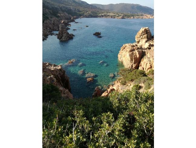 Anteprima foto 7 - Affitto Appartamento Vacanze da Privato a Trinità d'Agultu e Vignola - Costa Paradiso