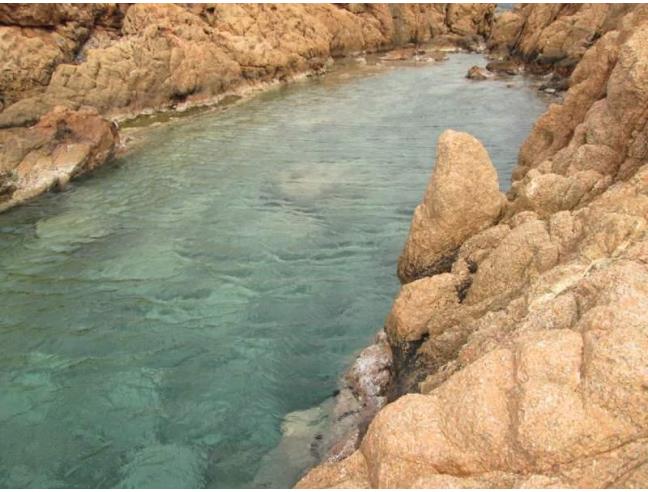 Anteprima foto 7 - Affitto Appartamento Vacanze da Privato a Trinità d'Agultu e Vignola - Costa Paradiso