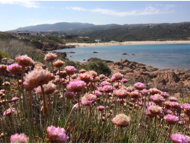 Anteprima foto 4 - Affitto Appartamento Vacanze da Privato a Trinità d'Agultu e Vignola (Sassari)