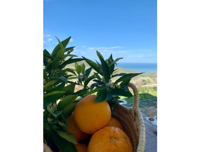 Anteprima foto 8 - Affitto Appartamento Vacanze da Privato a Tusa - Castel Di Tusa