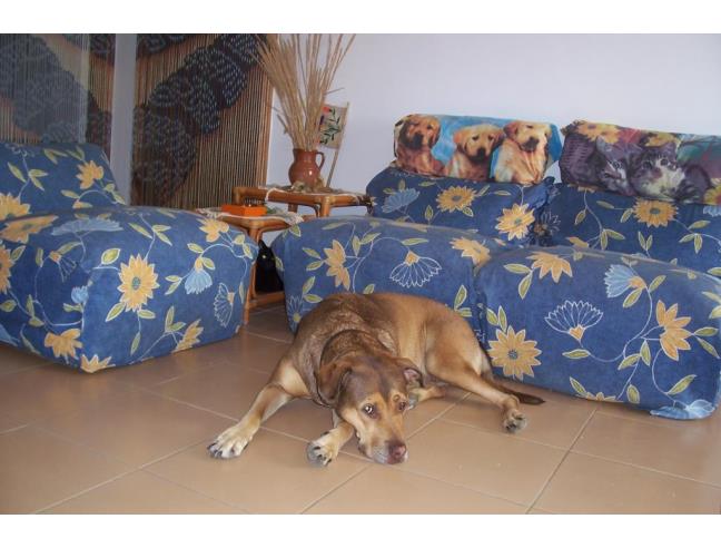 Anteprima foto 4 - Affitto Appartamento Vacanze da Privato a Ugento - Marina San Giovanni