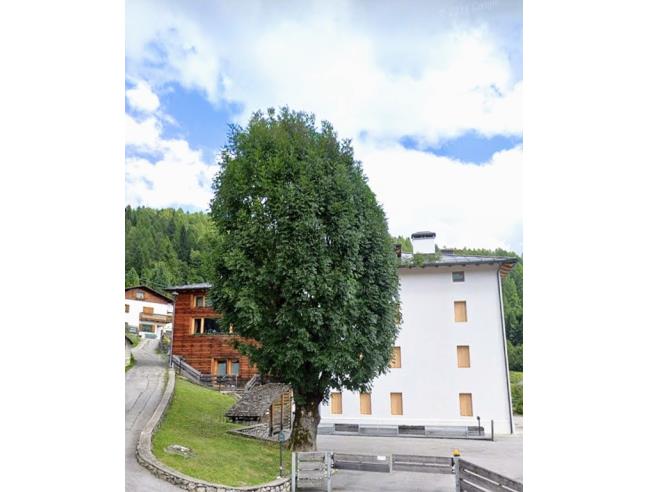 Anteprima foto 1 - Affitto Appartamento Vacanze da Privato a Val di Zoldo (Belluno)