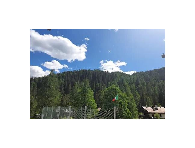 Anteprima foto 2 - Affitto Appartamento Vacanze da Privato a Val di Zoldo - Pècol