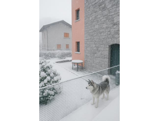 Anteprima foto 2 - Affitto Appartamento Vacanze da Privato a Valbondione - Bondione