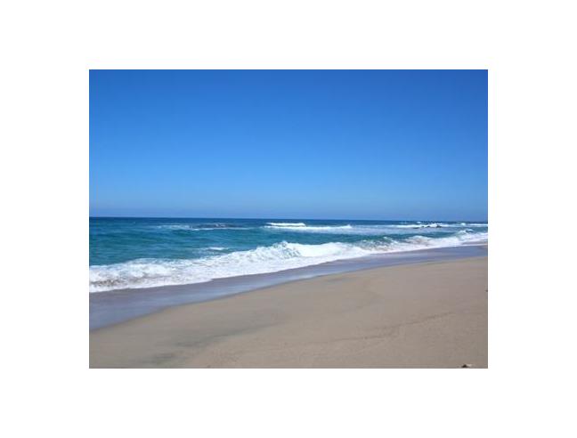 Anteprima foto 7 - Affitto Appartamento Vacanze da Privato a Valledoria - La Muddizza