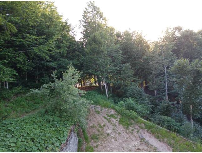 Anteprima foto 4 - Affitto Appartamento Vacanze da Privato a Ventasso (Reggio Emilia)