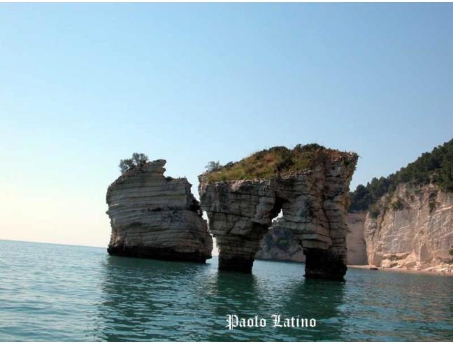 Anteprima foto 2 - Affitto Appartamento Vacanze da Privato a Vico del Gargano - San Menaio