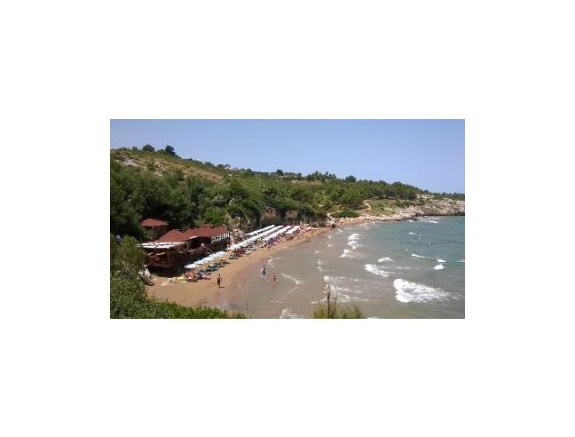 Anteprima foto 3 - Affitto Appartamento Vacanze da Privato a Vieste (Foggia)