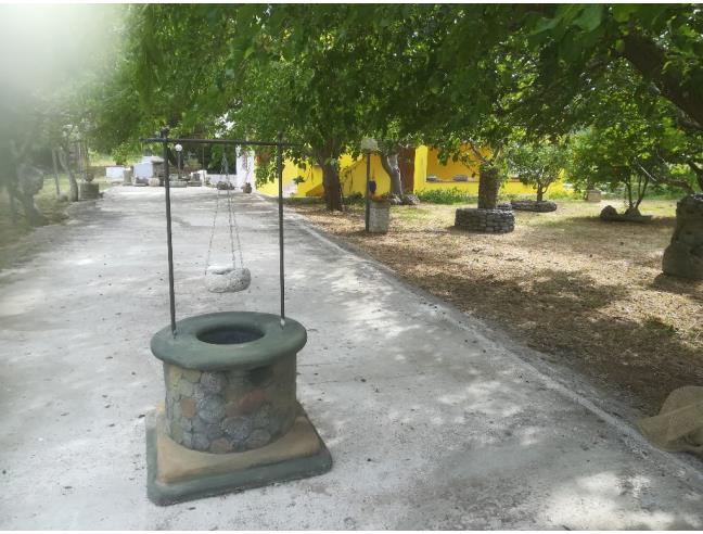 Anteprima foto 3 - Affitto Appartamento Vacanze da Privato a Vieste (Foggia)