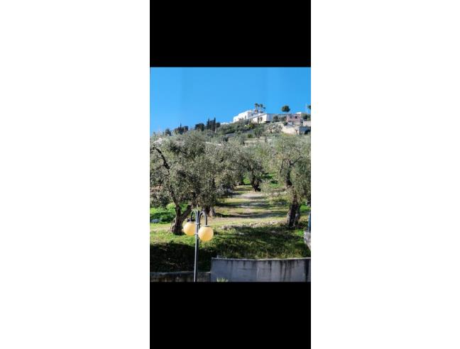 Anteprima foto 6 - Affitto Appartamento Vacanze da Privato a Vieste (Foggia)
