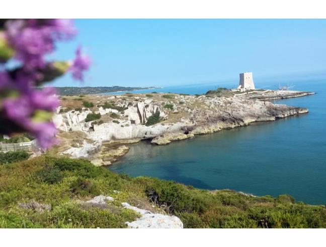 Anteprima foto 6 - Affitto Appartamento Vacanze da Privato a Vieste (Foggia)