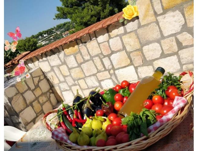 Anteprima foto 7 - Affitto Appartamento Vacanze da Privato a Vieste (Foggia)