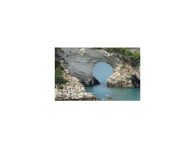 Anteprima foto 7 - Affitto Appartamento Vacanze da Privato a Vieste (Foggia)