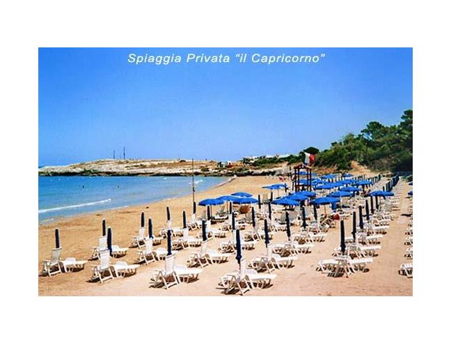 Anteprima foto 3 - Affitto Appartamento Vacanze da Privato a Vieste - Pugnochiuso