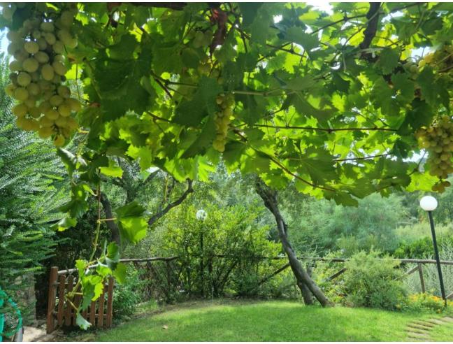 Anteprima foto 1 - Affitto Appartamento Vacanze da Privato a Villasimius (Sud Sardegna)