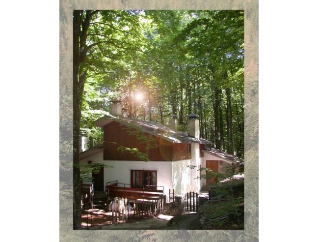 Anteprima foto 2 - Affitto Baita/Chalet/Trullo Vacanze da Privato a Abbadia San Salvatore (Siena)