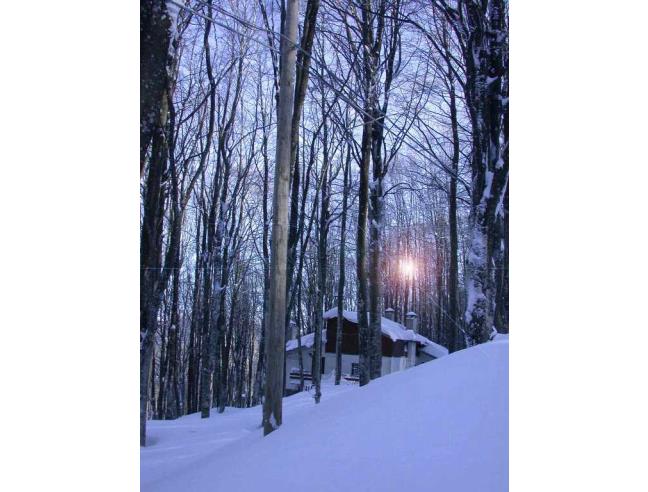 Anteprima foto 8 - Affitto Baita/Chalet/Trullo Vacanze da Privato a Abbadia San Salvatore (Siena)