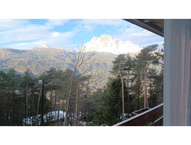 Anteprima foto 2 - Affitto Baita/Chalet/Trullo Vacanze da Privato a Borca di Cadore - Corte