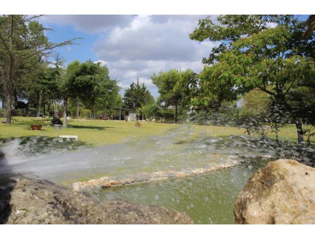 Anteprima foto 3 - Affitto Baita/Chalet/Trullo Vacanze da Privato a Carmiano (Lecce)