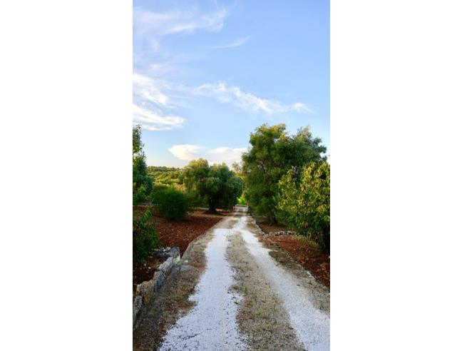 Anteprima foto 8 - Affitto Baita/Chalet/Trullo Vacanze da Privato a Ceglie Messapica (Brindisi)