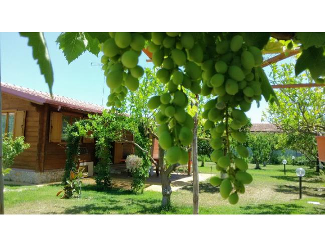 Anteprima foto 2 - Affitto Baita/Chalet/Trullo Vacanze da Privato a Crotone - Centro città