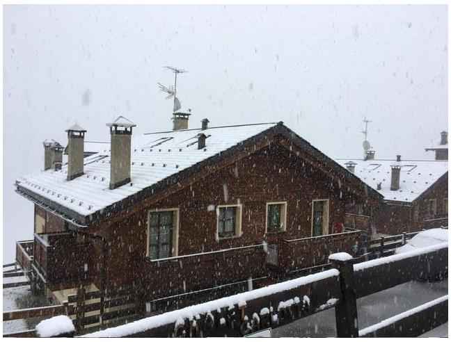 Anteprima foto 1 - Affitto Baita/Chalet/Trullo Vacanze da Privato a Livigno (Sondrio)