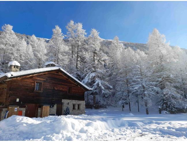 Anteprima foto 1 - Affitto Baita/Chalet/Trullo Vacanze da Privato a Livigno (Sondrio)