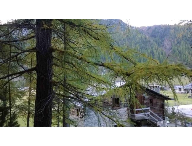 Anteprima foto 7 - Affitto Baita/Chalet/Trullo Vacanze da Privato a Livigno (Sondrio)