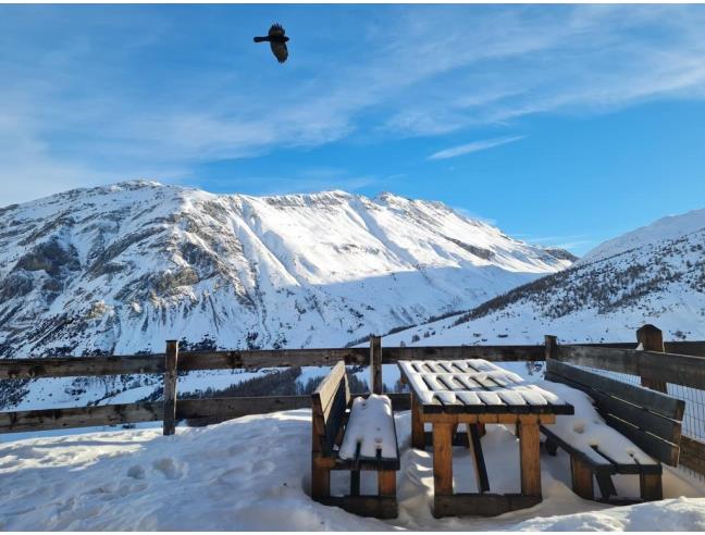 Anteprima foto 8 - Affitto Baita/Chalet/Trullo Vacanze da Privato a Livigno (Sondrio)