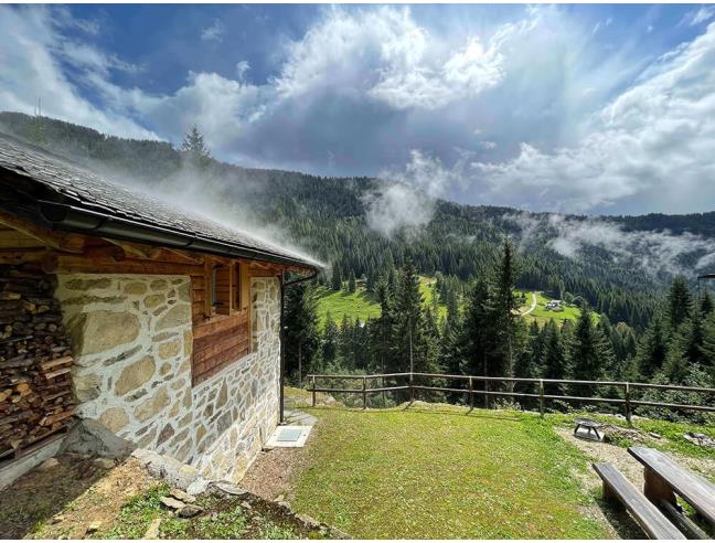 Anteprima foto 3 - Affitto Baita/Chalet/Trullo Vacanze da Privato a Mezzano (Trento)
