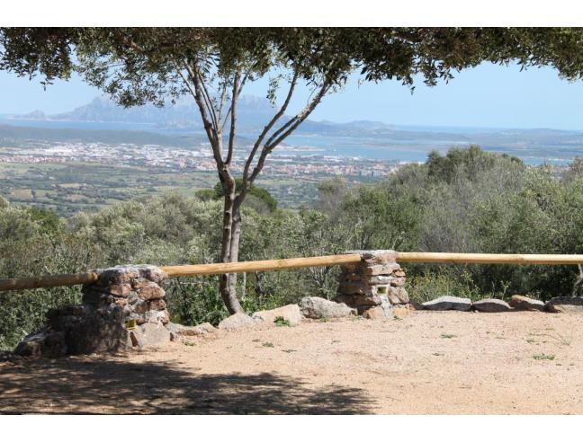 Anteprima foto 1 - Affitto Baita/Chalet/Trullo Vacanze da Privato a Olbia (Sassari)