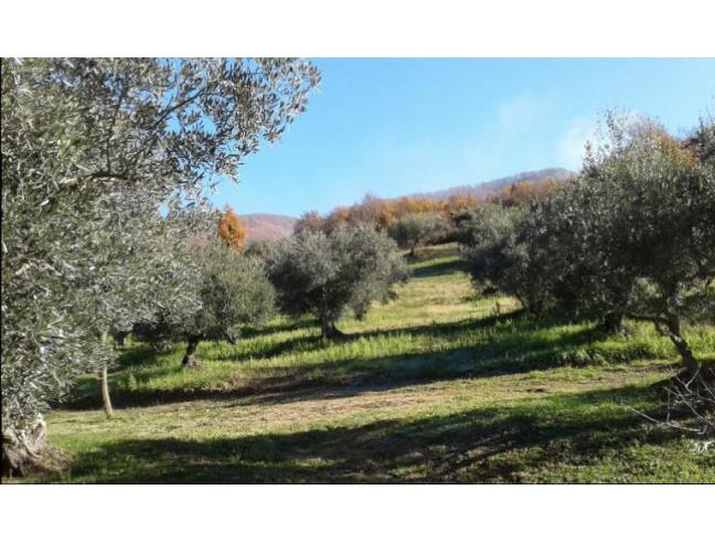Anteprima foto 3 - Affitto Baita/Chalet/Trullo Vacanze da Privato a San Chirico Raparo (Potenza)