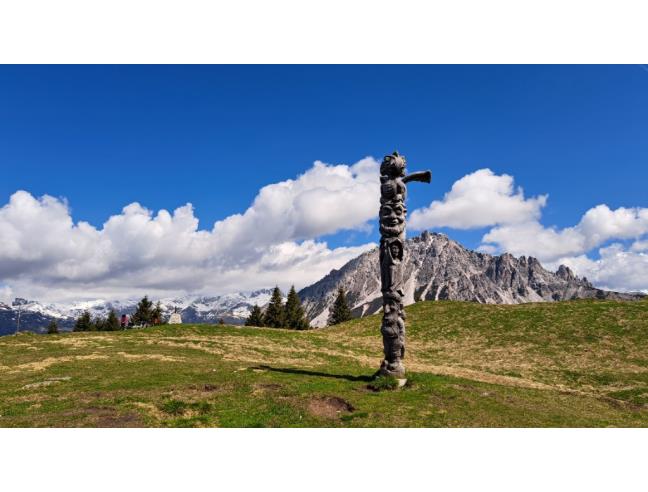Anteprima foto 8 - Affitto Baita/Chalet/Trullo Vacanze da Privato a San Pietro di Cadore - Costalta