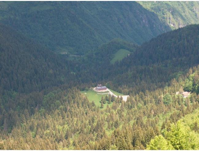 Anteprima foto 6 - Affitto Baita/Chalet/Trullo Vacanze da Privato a Seren del Grappa (Belluno)