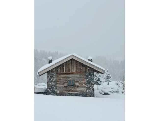 Anteprima foto 3 - Affitto Baita/Chalet/Trullo Vacanze da Privato a Soraga di Fassa (Trento)