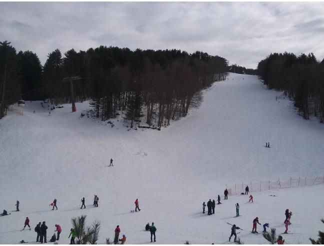 Anteprima foto 8 - Affitto Baita/Chalet/Trullo Vacanze da Privato a Spezzano della Sila - Camigliatello Silano