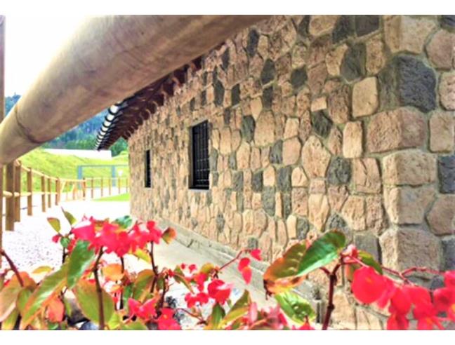 Anteprima foto 4 - Affitto Baita/Chalet/Trullo Vacanze da Privato a Tarvisio (Udine)