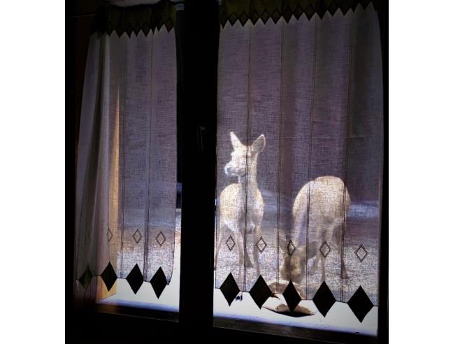 Anteprima foto 8 - Affitto Baita/Chalet/Trullo Vacanze da Privato a Tarvisio (Udine)